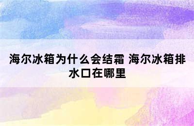 海尔冰箱为什么会结霜 海尔冰箱排水口在哪里